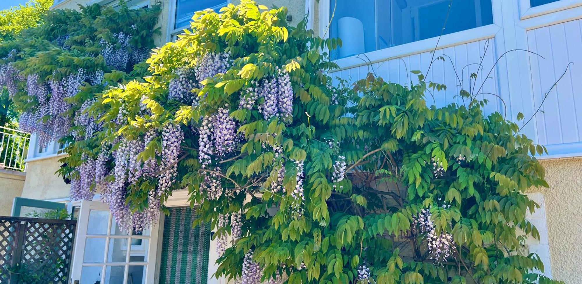 Bed and Breakfast The Charterhouse Torquay Esterno foto